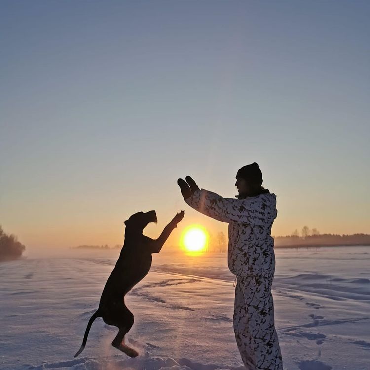 Изображение товара
